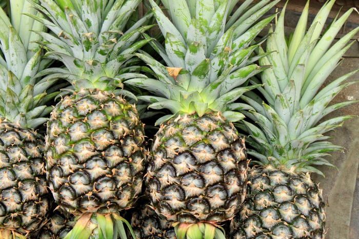 Ananas