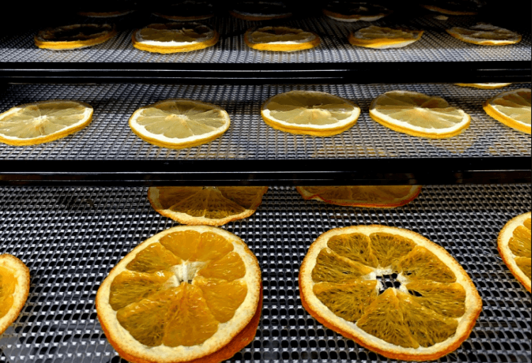 Sušení pomeranče